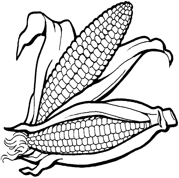 ears of corn coloring pages - photo #15