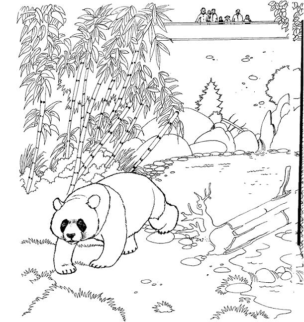 Coloring Pages Zoo Animals. zoo coloring book