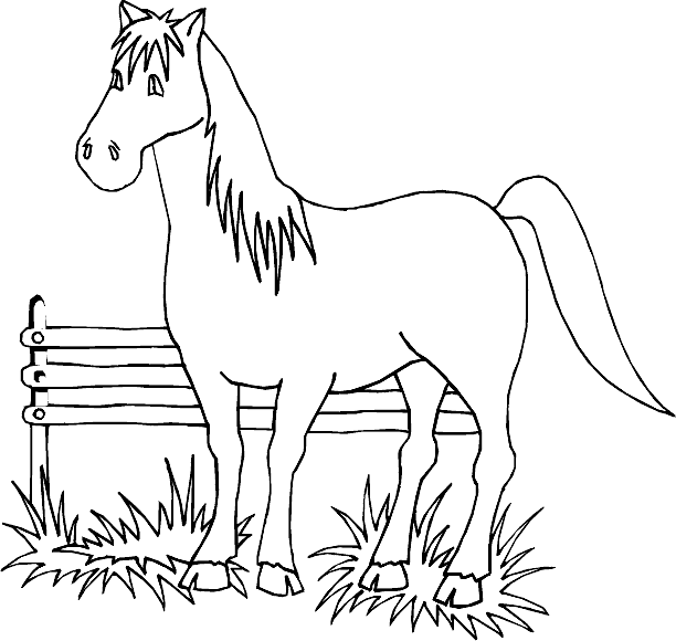 Horse In Fence Coloring Sheet 1