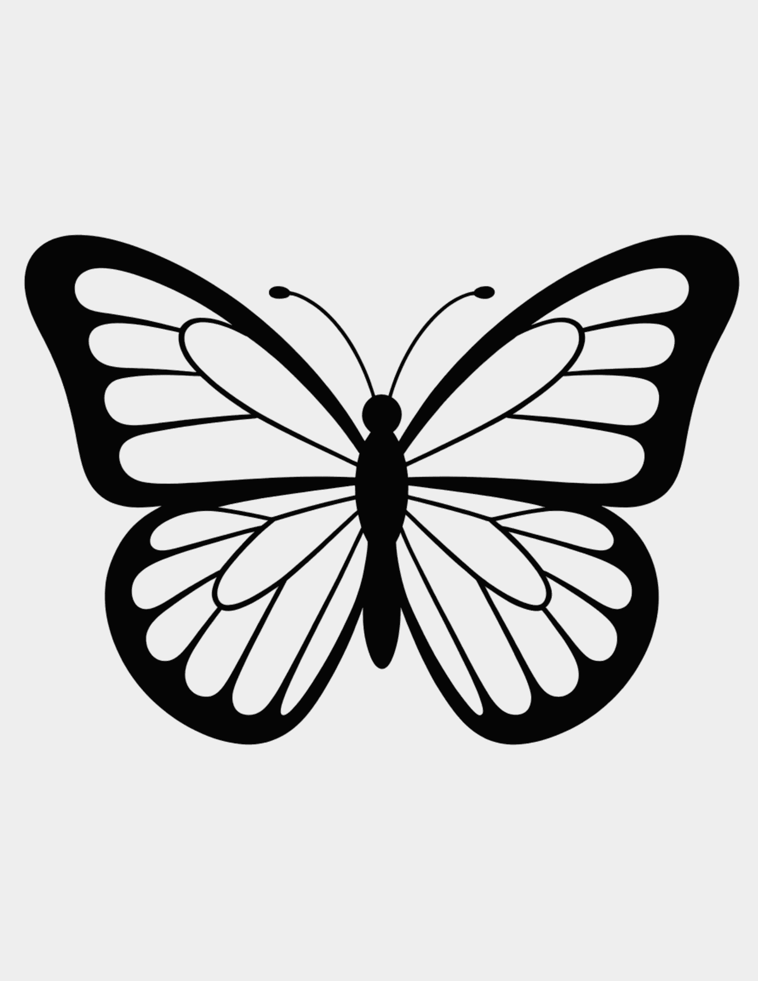 Blank-Butterfly-With-Body-Segments-Only
