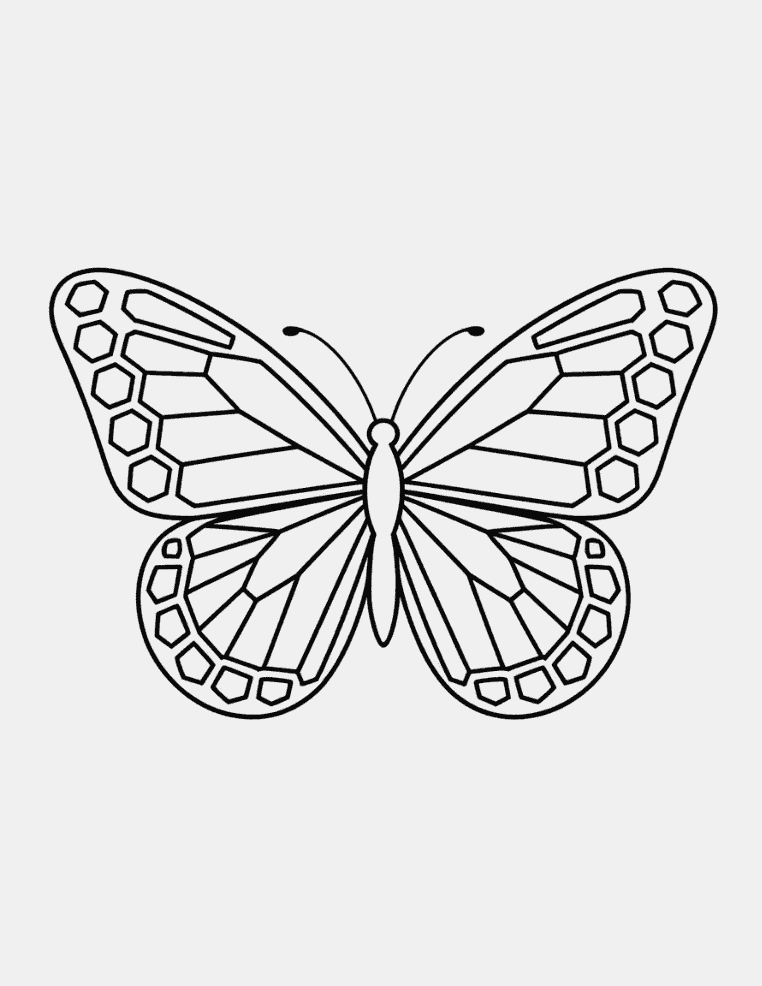 Butterfly-With-Geometric-Wing-Pattern