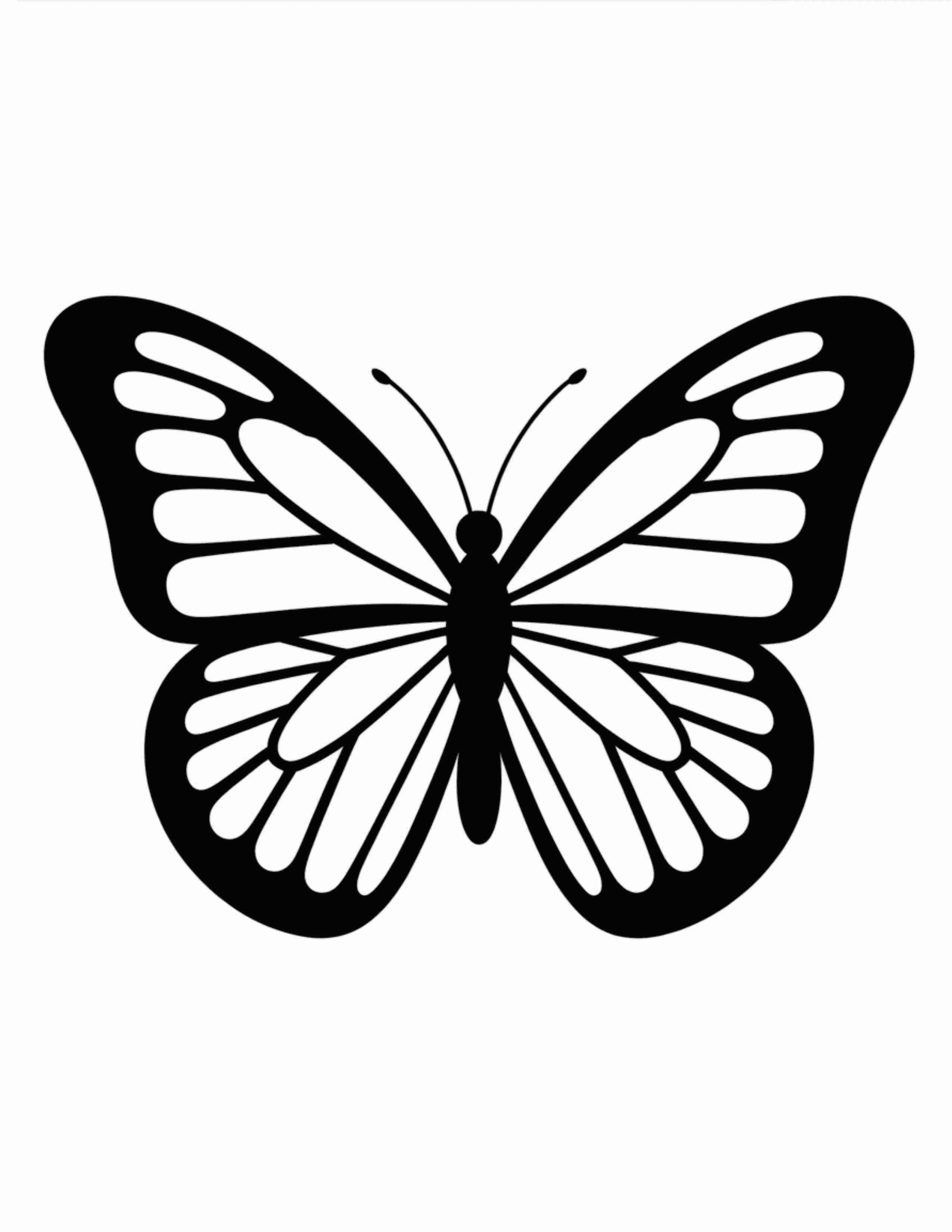 Butterfly-With-Stained-Glass-Style-Wing-Segments