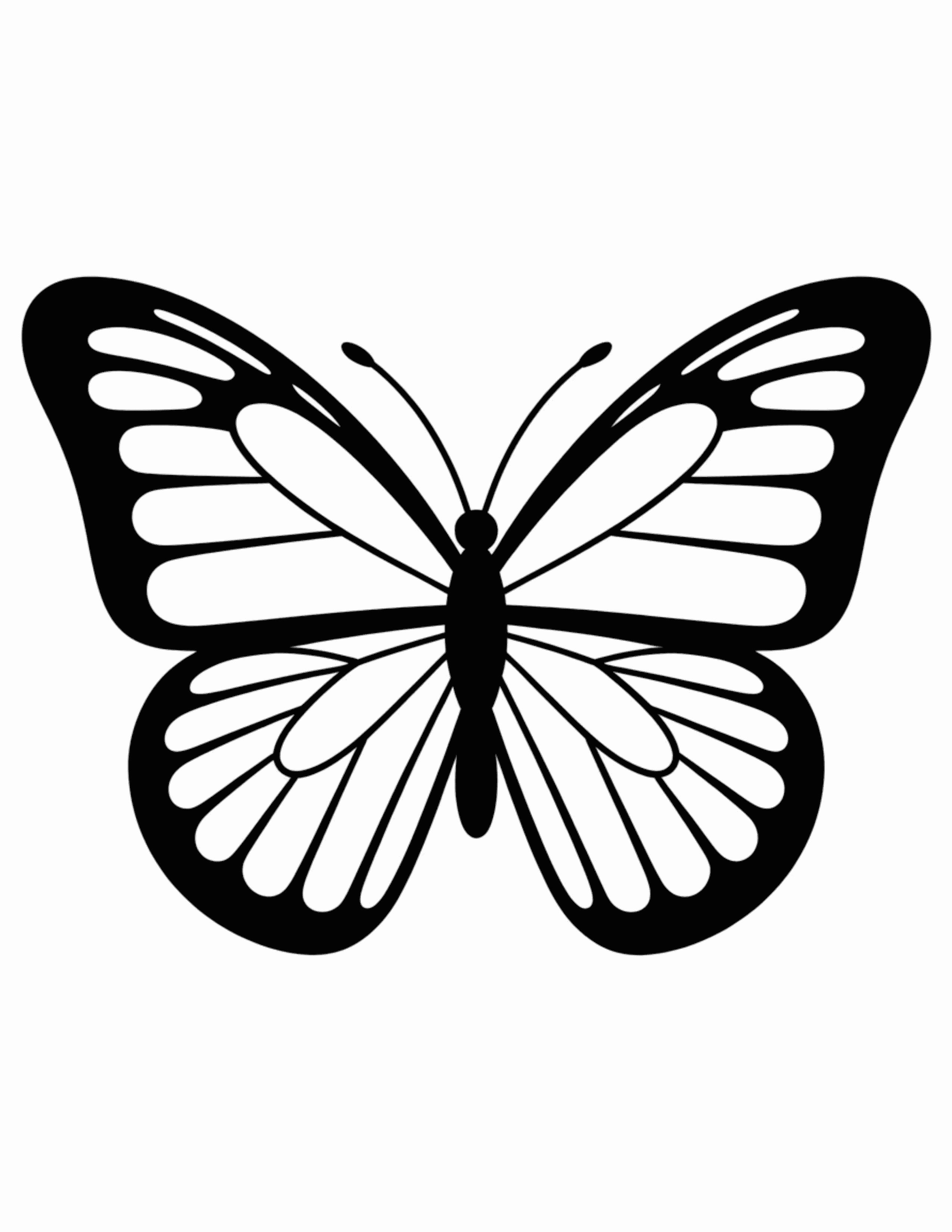 Butterfly-With-Striped-Wing-Segments