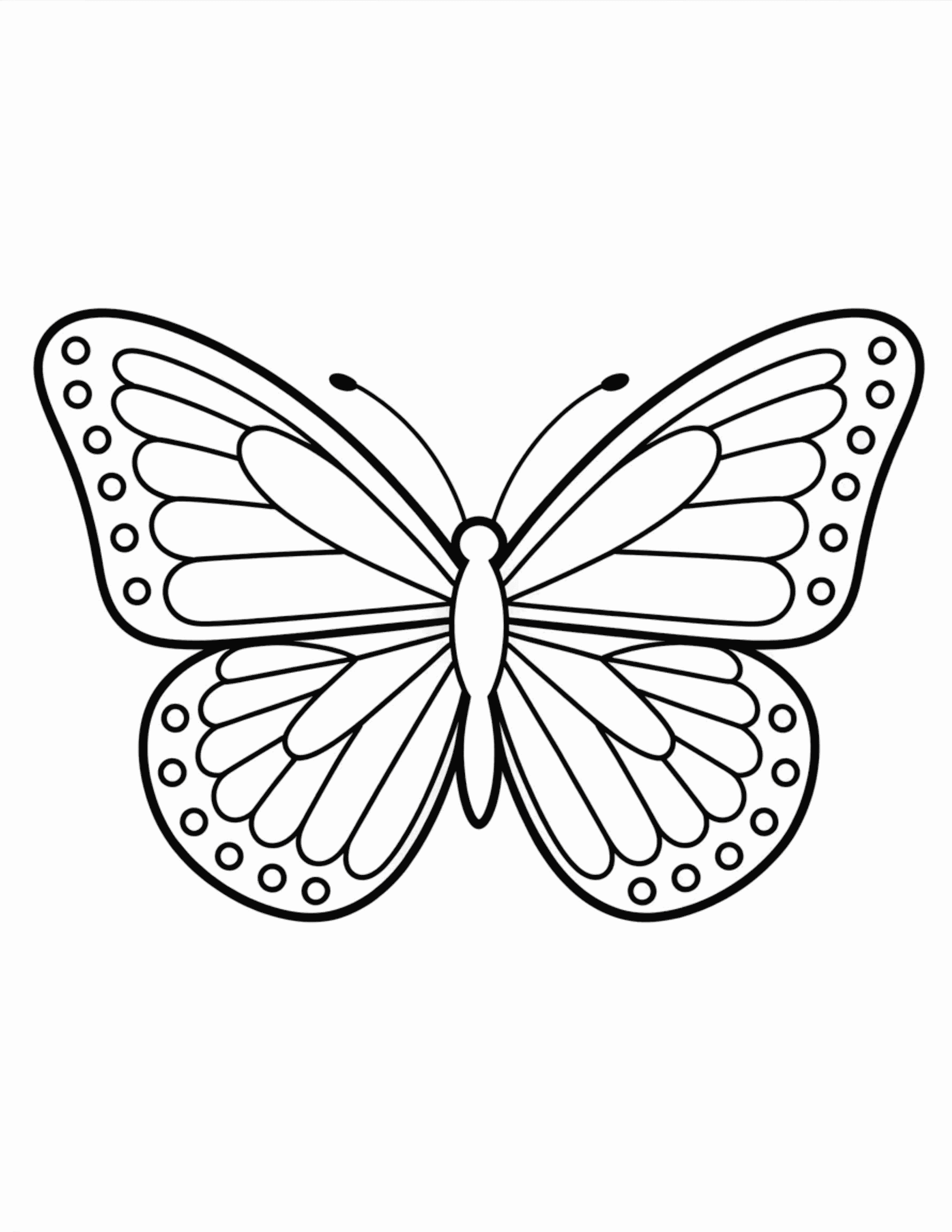 Butterfly-With-Symmetrical-Dot-Pattern-on-Wings