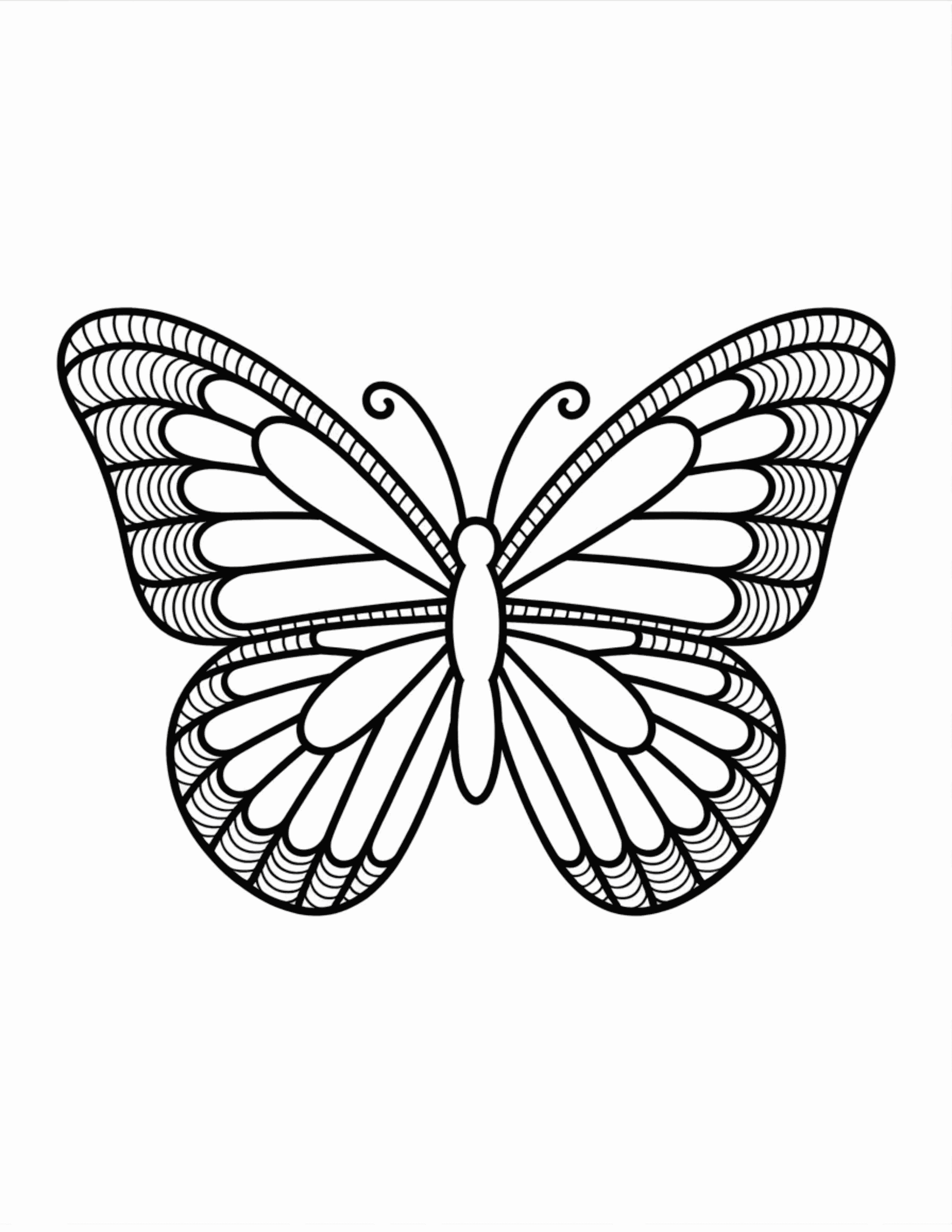 Butterfly-With-Zentangle-Style-Wing-Fill