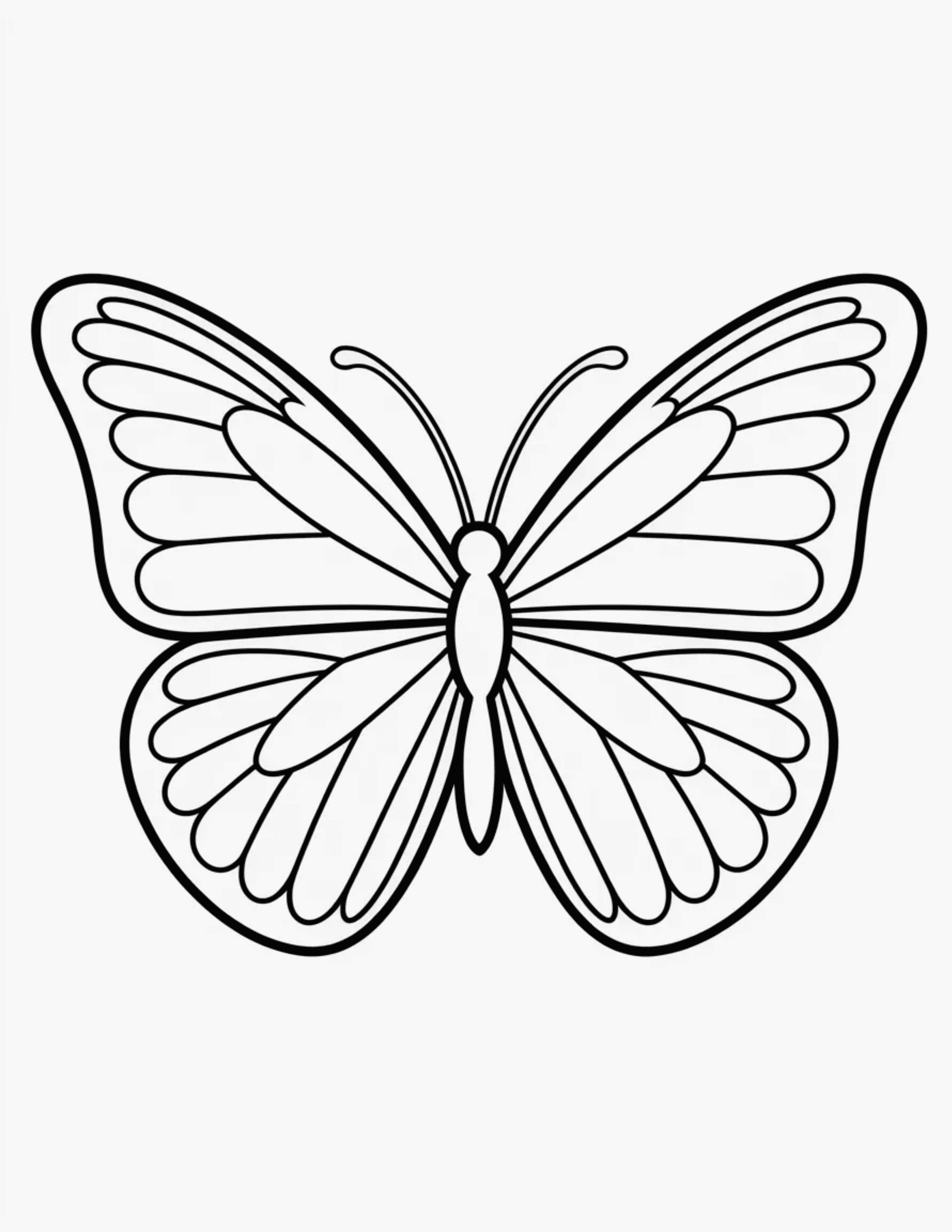 Extra-Large-Butterfly