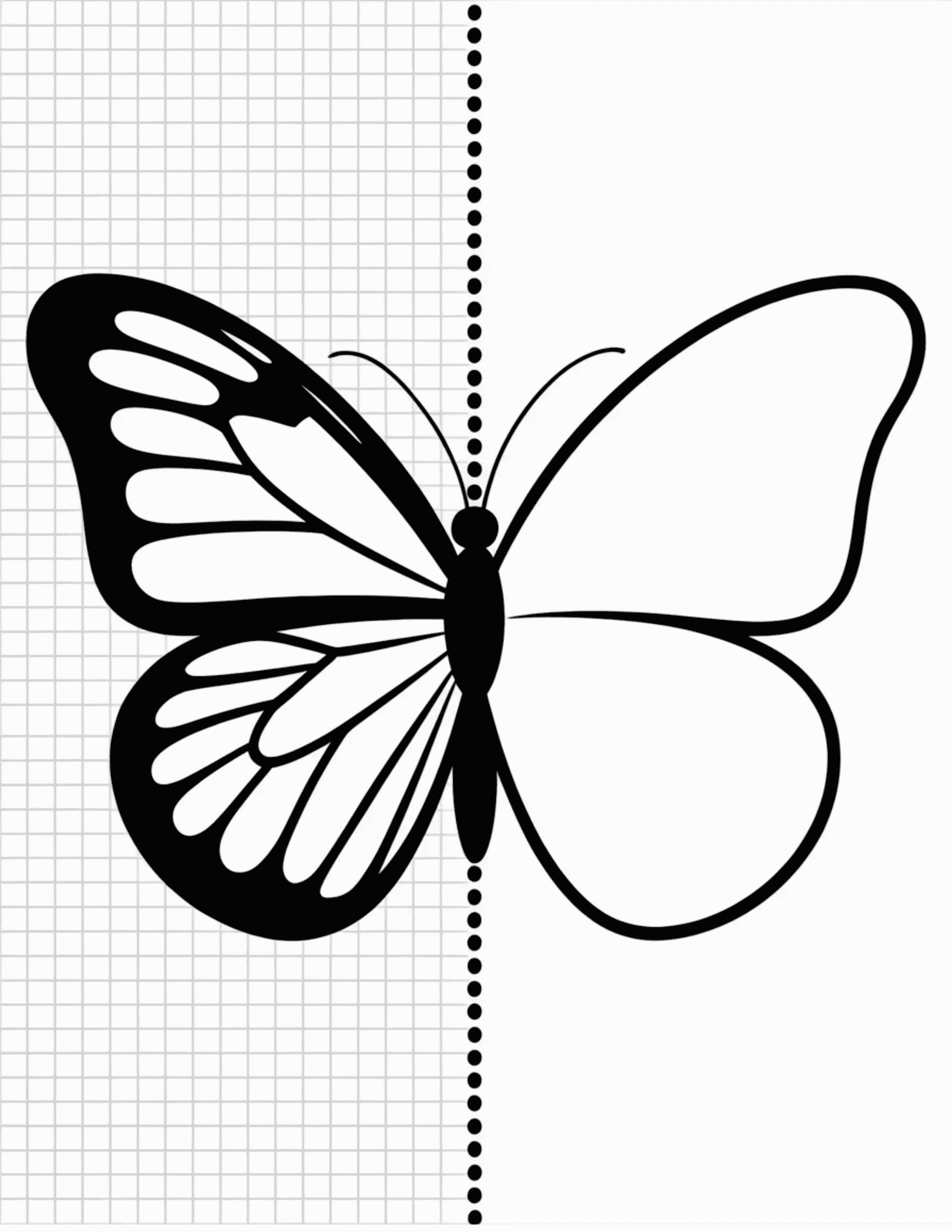 Half-Wing-Butterfly-on-Grid-Paper-(For-Precision-Symmetry-Practice)