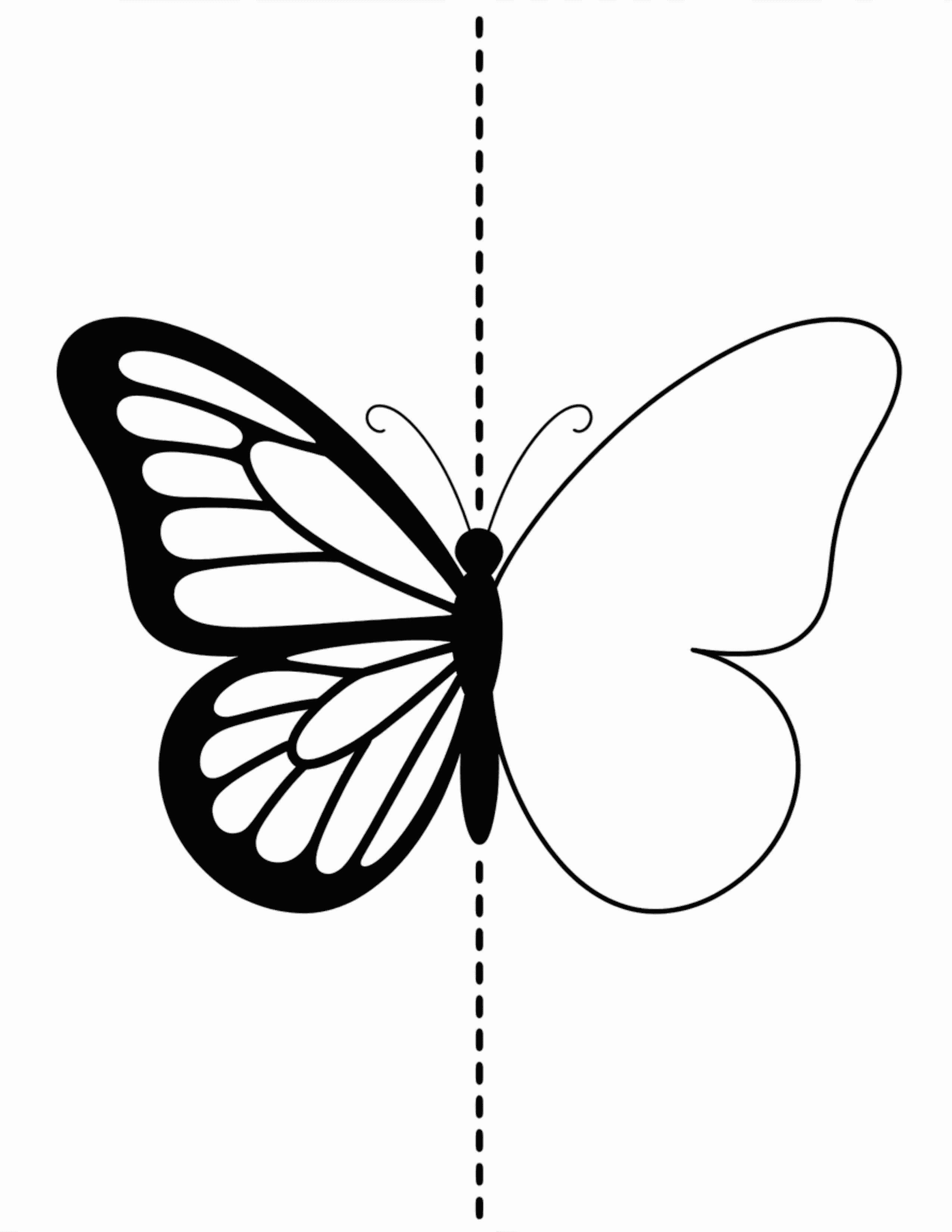 Half-Wing-Detailed-Butterfly-(Left-Side-With-Pattern-Mirror-the-Pattern)