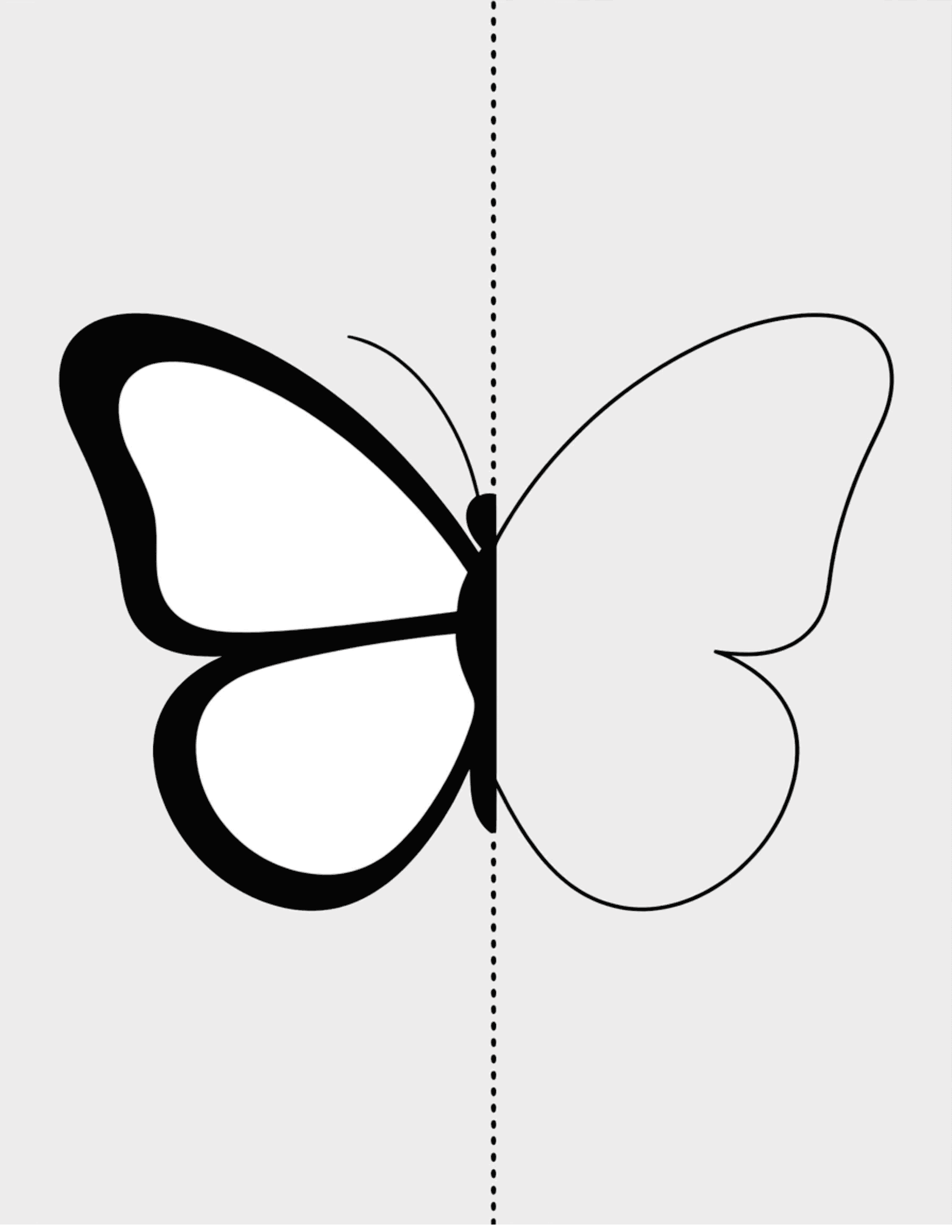 Half-Wing-Simple-Butterfly-(Left-Side-Only-Draw-the-Right-Side)