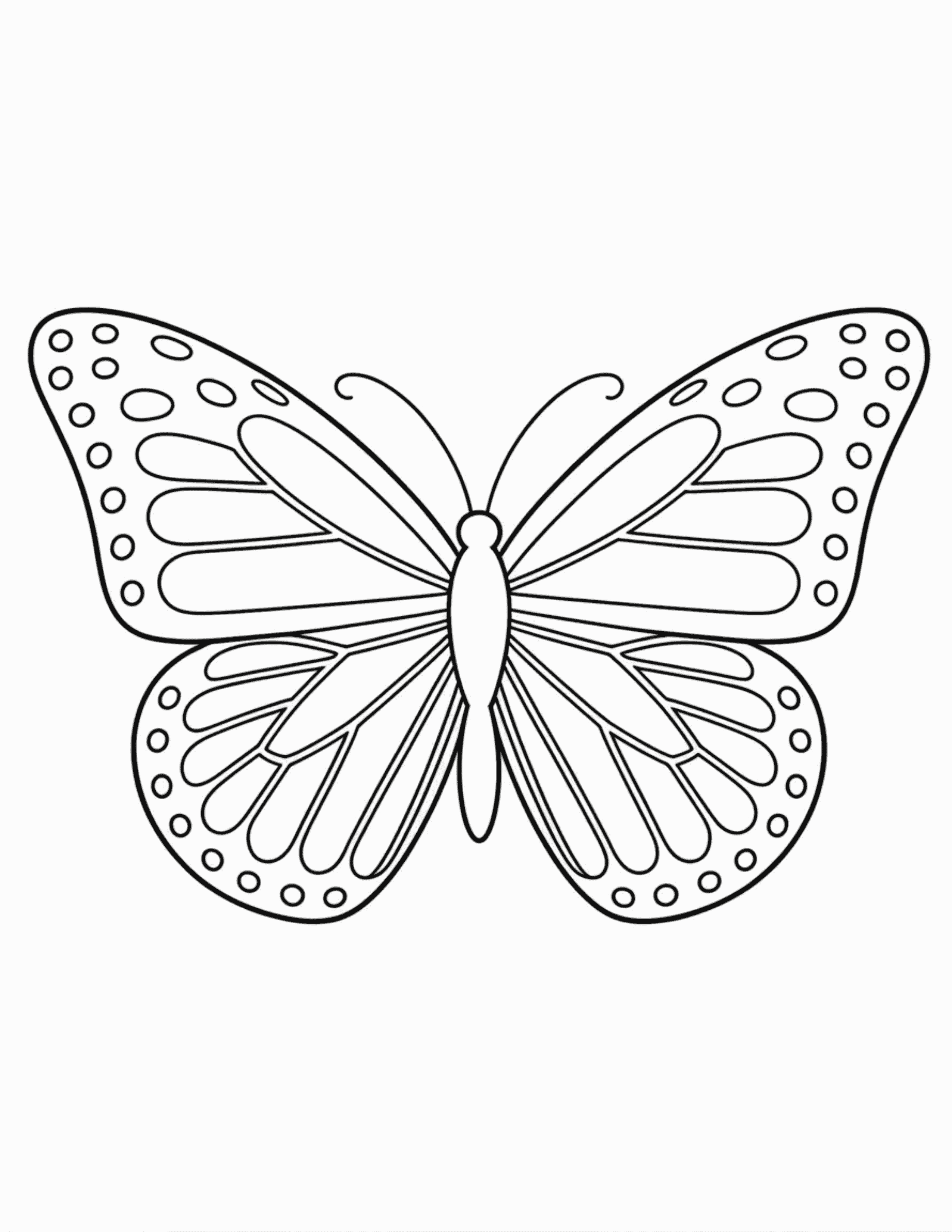 Monarch-Butterfly-Template