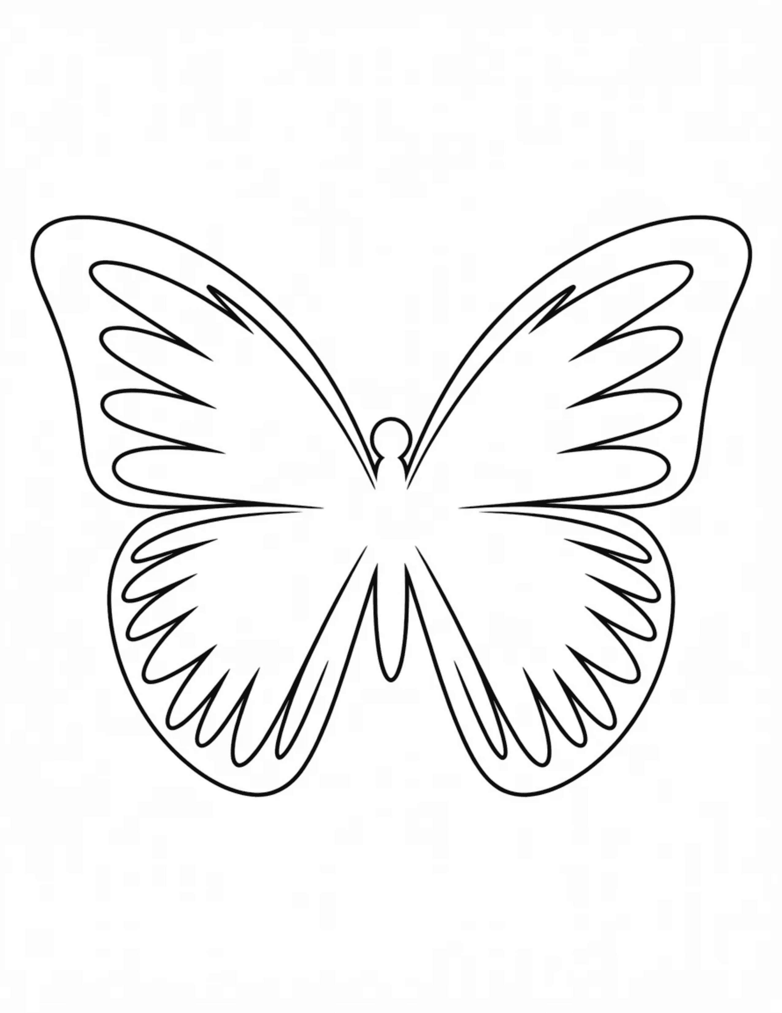 Pointed-Wing-Butterfly