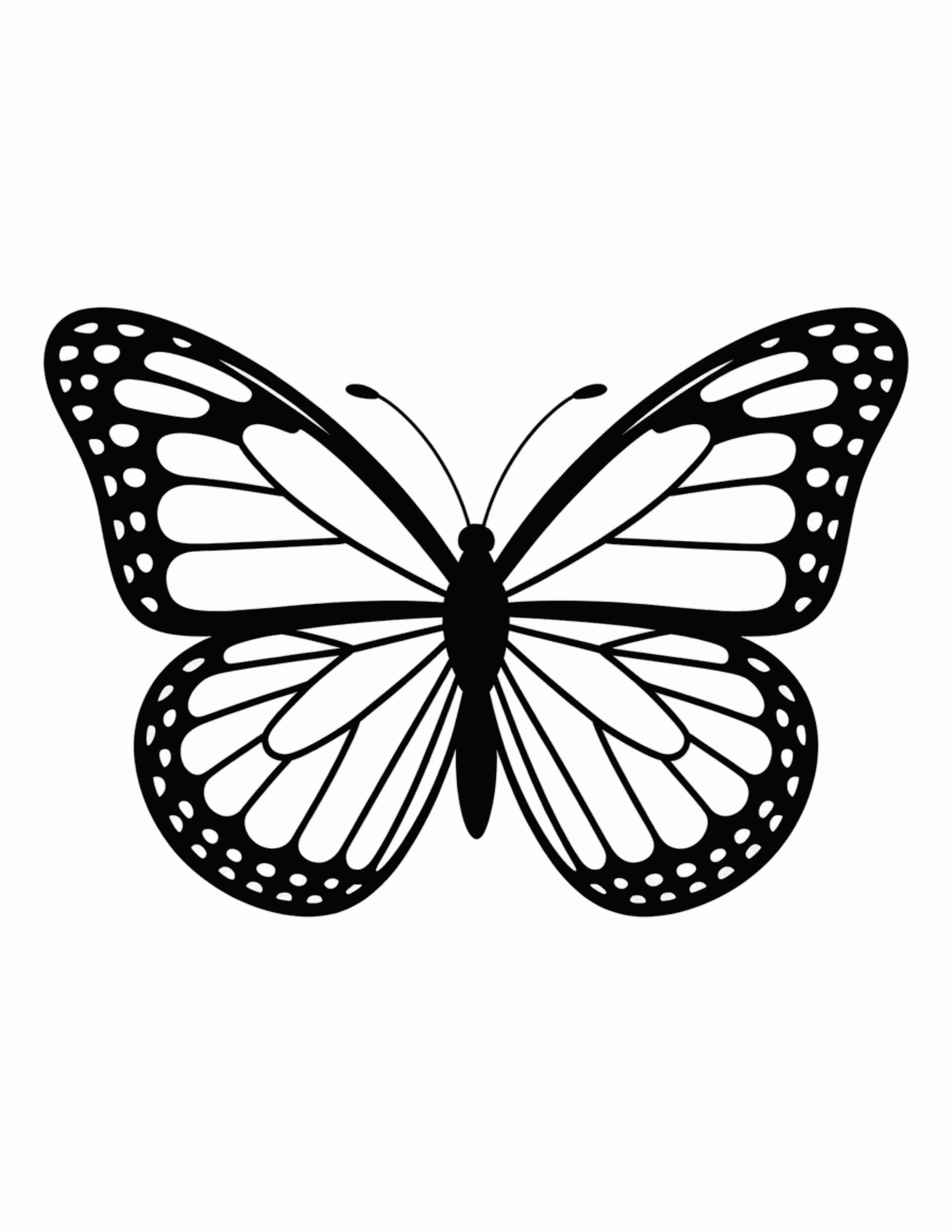 Realistic-Butterfly-With-Vein-Details