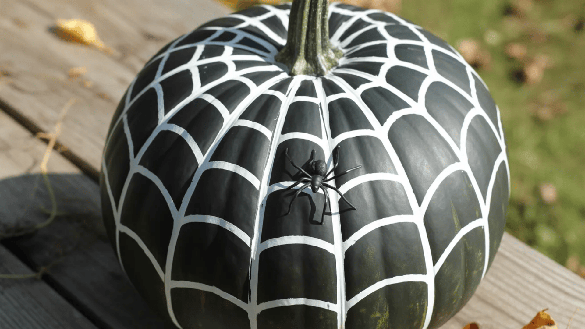 spider-web-pumpkin